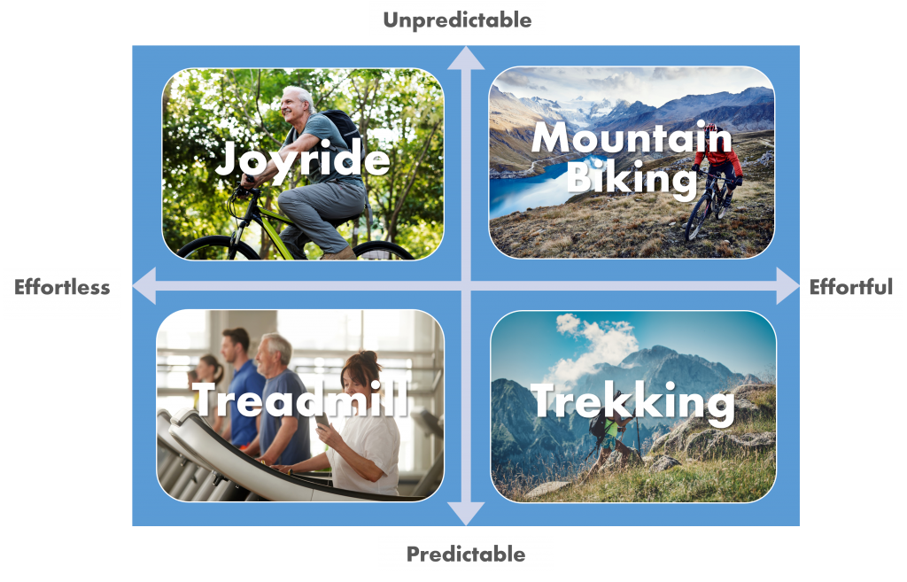 experiential journey matrix